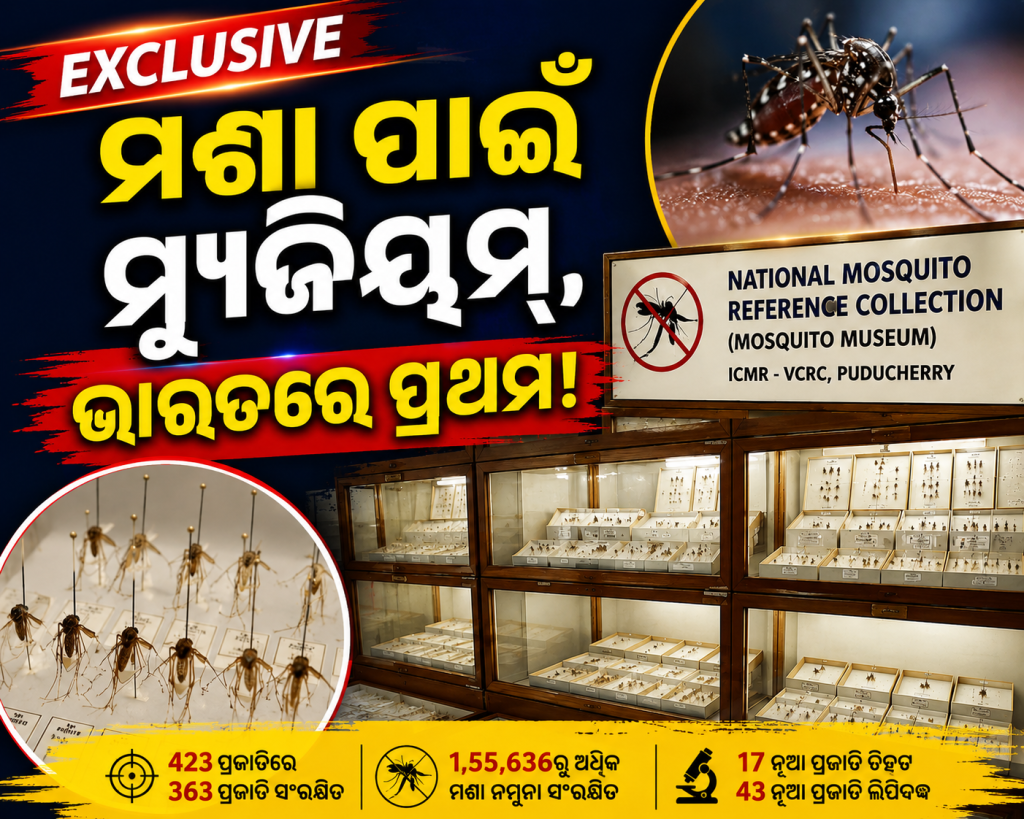ମଶା ପାଇଁ ମ୍ୟୁଜିୟମ୍‌, ଭାରତରେ ପ୍ରଥମ! ସଂରକ୍ଷିତ ରହିଛି ୧ ଲକ୍ଷ ୫୫ ହଜାରରୁ ଅଧିକ ମଶା ନମୁନା